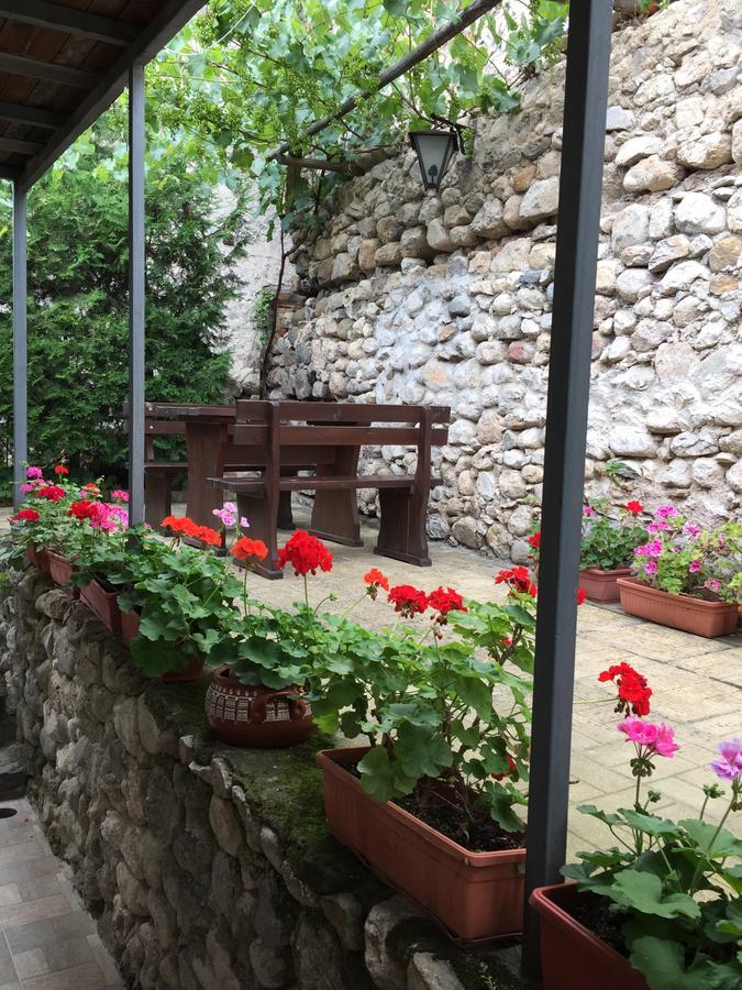 Toni'S Guest House Melnik  Esterno foto